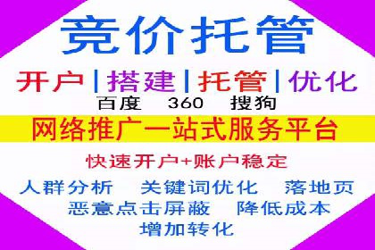 跨行业SEM优化经验分享：如何实现ROI最大化